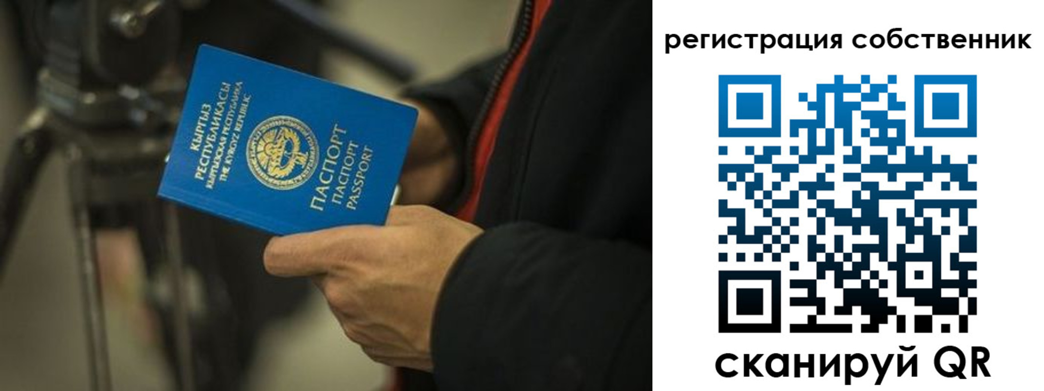 временная регистрация поиск в Дубне